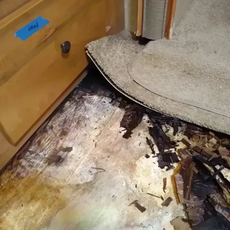 Best Wood Floor Water Damage Service in Bettendorf, IA